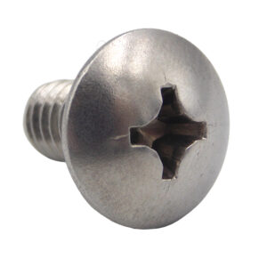 Screw for Lock Plate