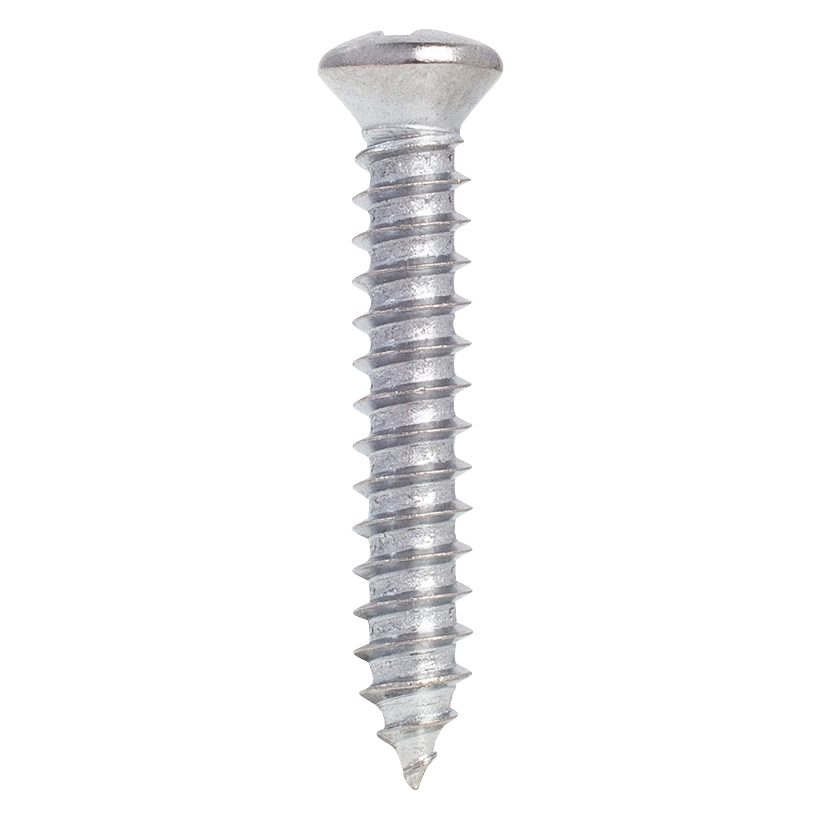 100 PK Phillips Oval Head Tapping Screw X in. #6 Head Chrome Shark  Industries